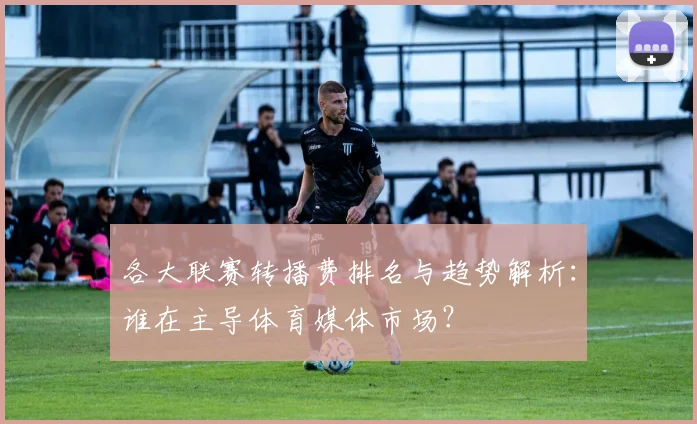 各大联赛转播费排名与趋势解析:谁在主导体育媒体市场?